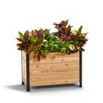 A wooden planter box measuring 18 inches wide by 36 inches long by 24 inches tall, filled with various plants and greenery.