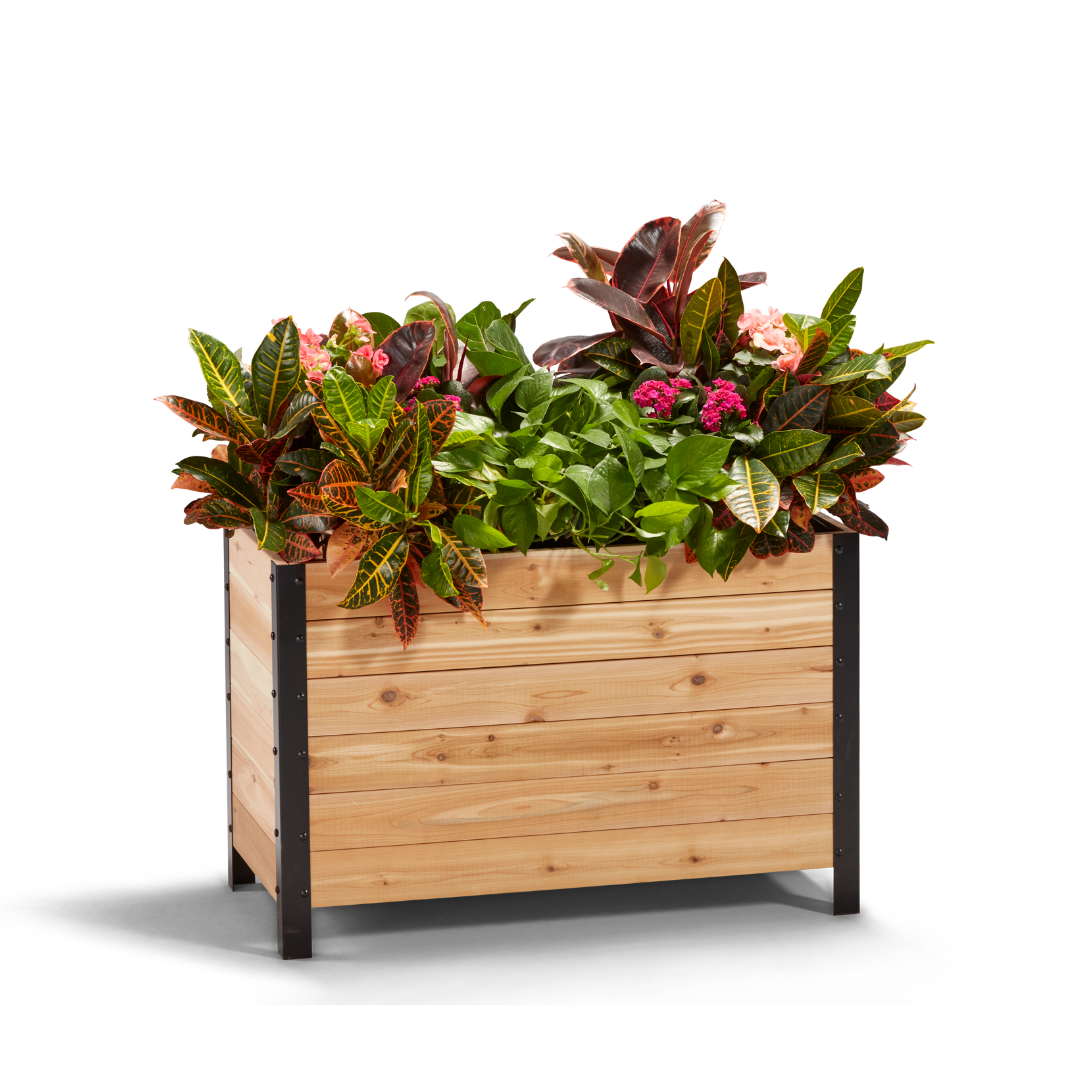 A wooden planter box measuring 18 inches wide by 36 inches long by 24 inches tall, filled with various plants and greenery.