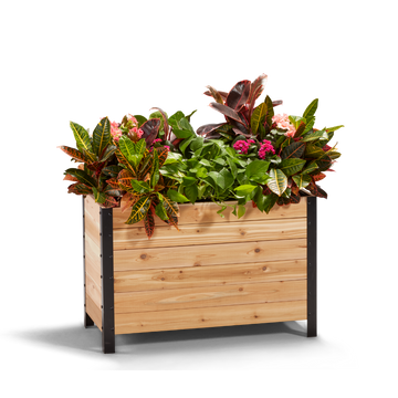 A wooden planter box measuring 18 inches wide by 36 inches long by 24 inches tall, filled with various plants and greenery.