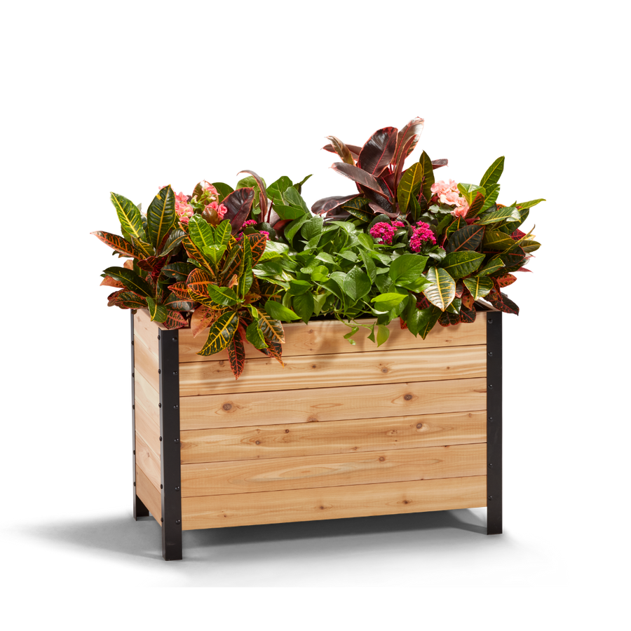 A wooden planter box measuring 18 inches wide by 36 inches long by 24 inches tall, filled with various plants and greenery.