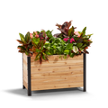 A wooden planter box measuring 18 inches wide by 36 inches long by 24 inches tall, filled with various plants and greenery.
