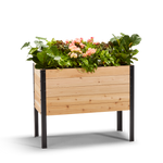 18-inch by 36-inch shallow root raised garden bed in Western Red Cedar with plants