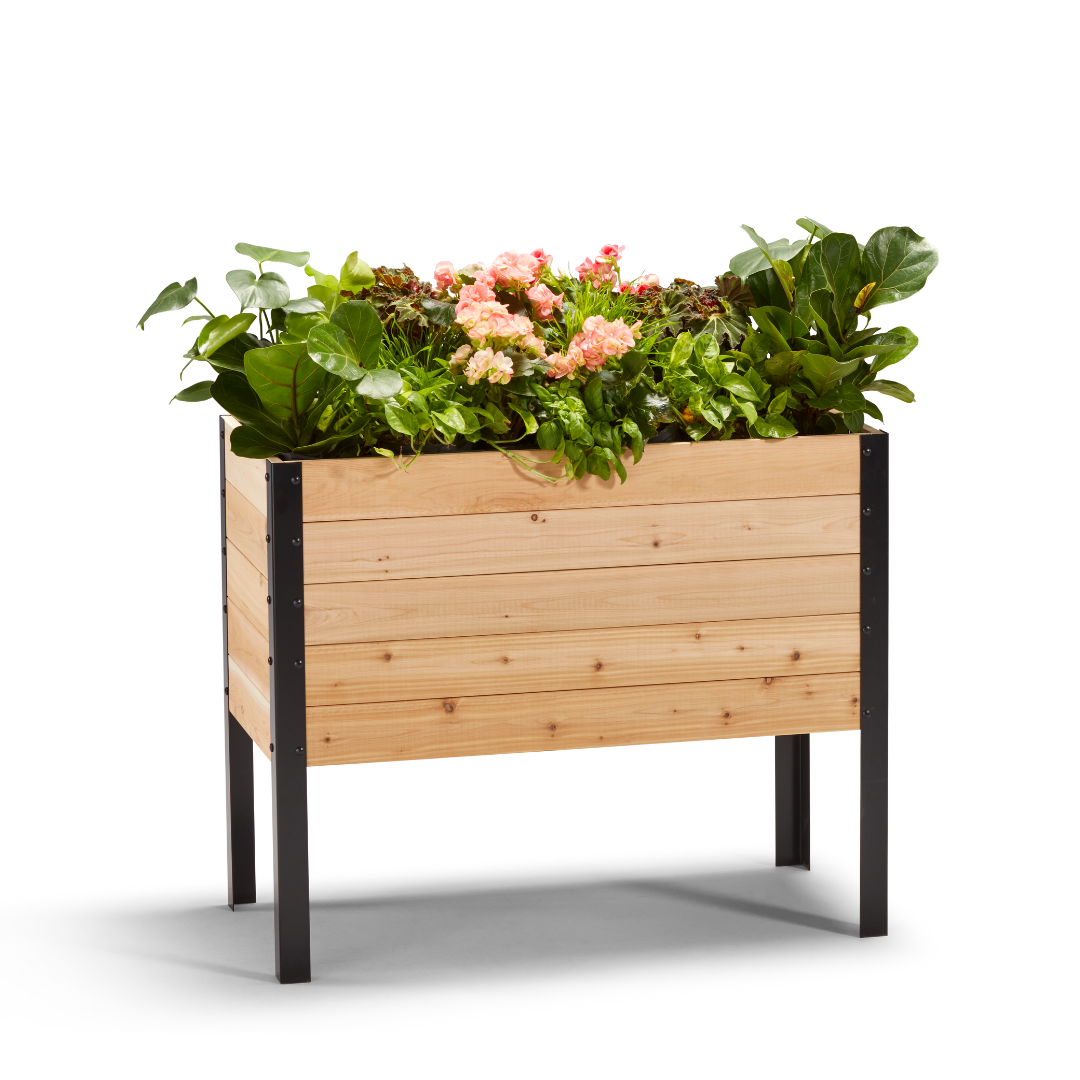 18-inch by 36-inch shallow root raised garden bed in Western Red Cedar with plants