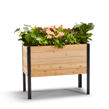 18-inch by 36-inch shallow root raised garden bed in Western Red Cedar with plants