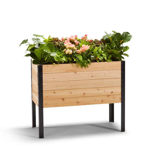 18-inch by 36-inch shallow root raised garden bed in Western Red Cedar with plants