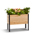 An 18-inch by 36-inch raised garden bed with a 30-inch height, made of rot-resistant western red cedar, featuring a black metal liner and feet, filled with soil and plants.