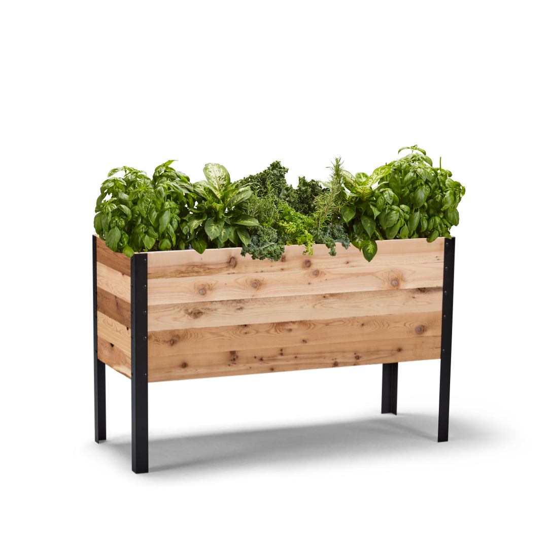18-inch by 48-inch shallow root raised garden bed in Western Red Cedar with plants