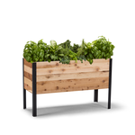 18-inch by 48-inch shallow root raised garden bed in Western Red Cedar with plants