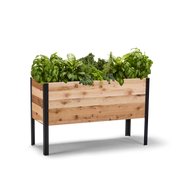 Deep Root