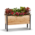A wooden raised garden bed with a variety of plants and flowers growing in it, set against a white background.