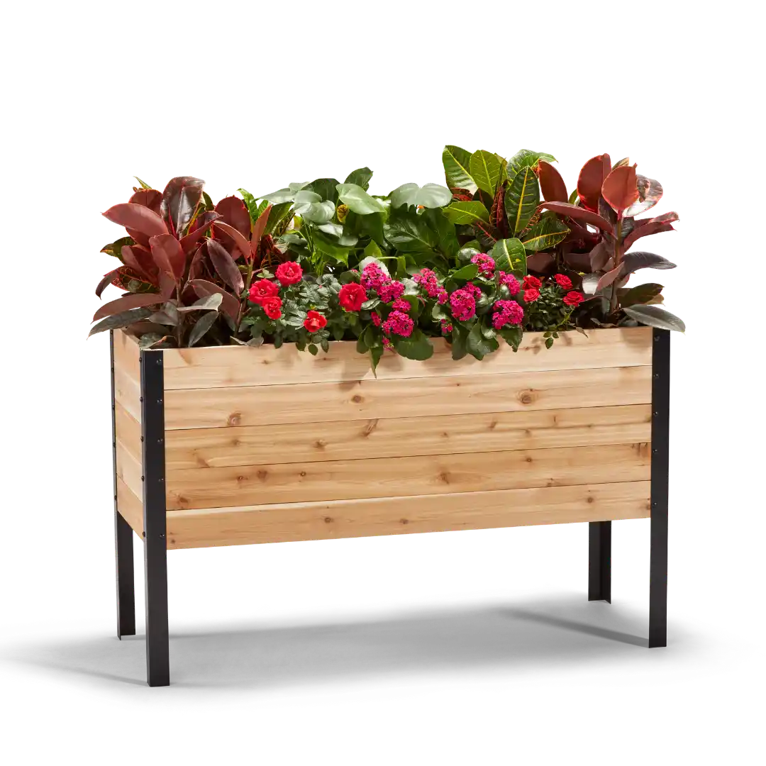 A wooden raised garden bed with a variety of plants and flowers growing in it, set against a white background.