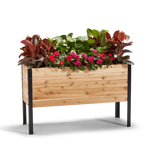 18-inch by 48-inch shallow root raised garden bed in Western Red Cedar with plants
