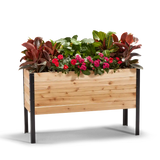 18-inch by 48-inch shallow root raised garden bed in Western Red Cedar with plants