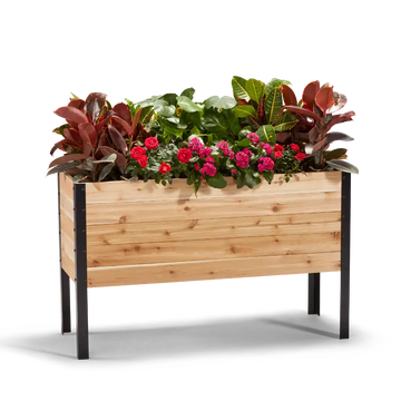 18-inch by 48-inch shallow root raised garden bed in Western Red Cedar with plants