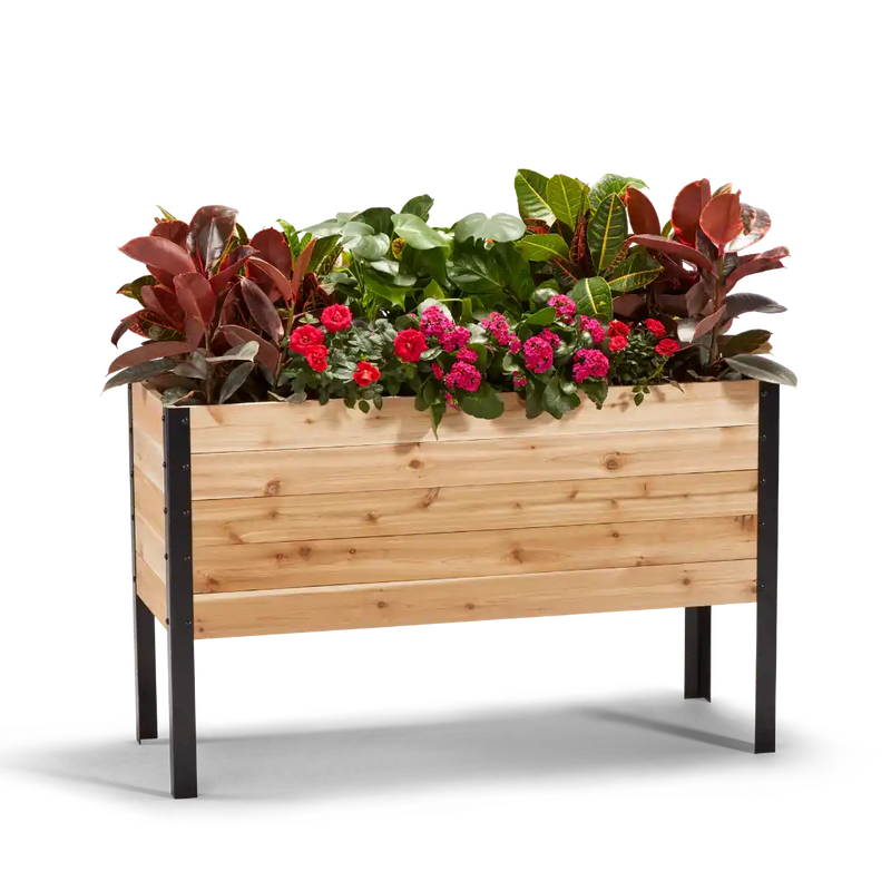 A wooden raised garden bed with a variety of plants and flowers growing in it, set against a white background.
