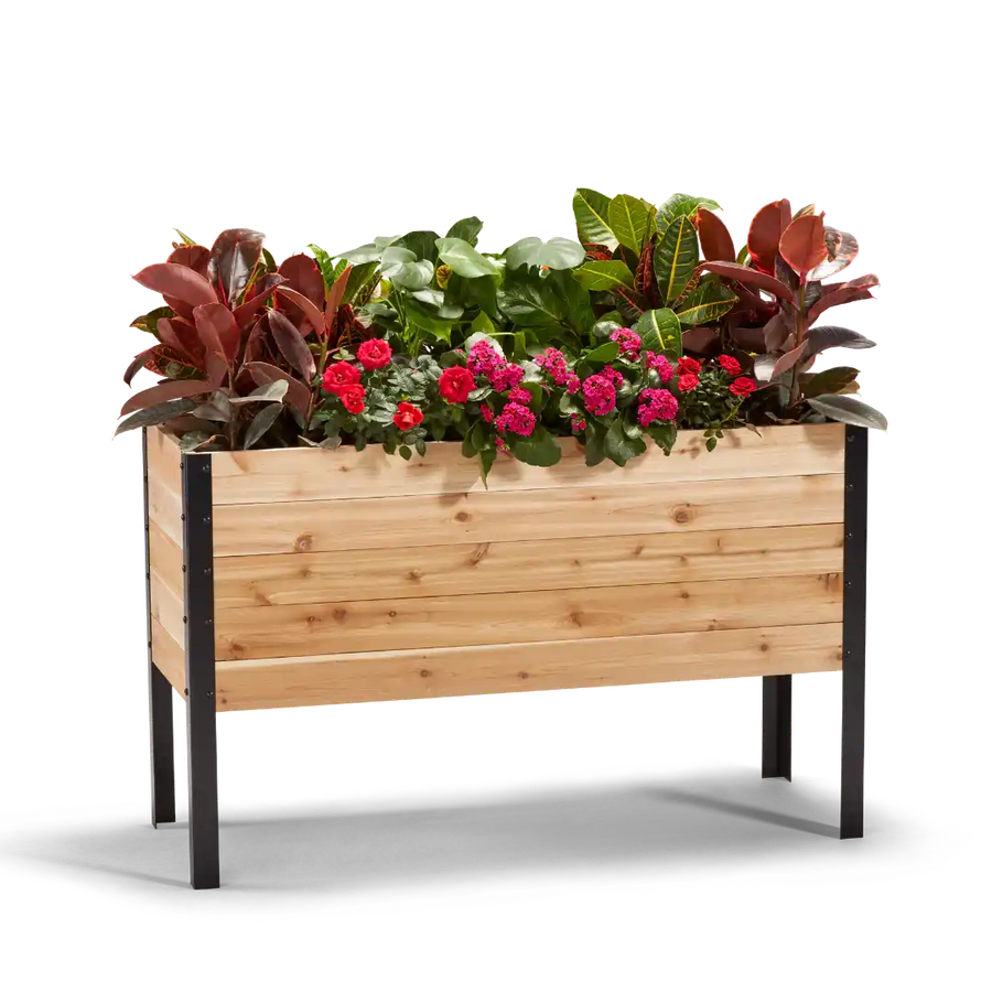 18-inch by 48-inch shallow root raised garden bed in Western Red Cedar with plants
