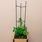 Vegetable Cage