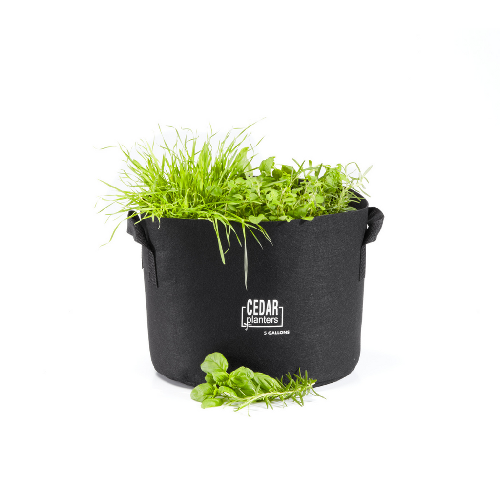 Grow Bag (5 Gallon) – Cedar Planters Canada