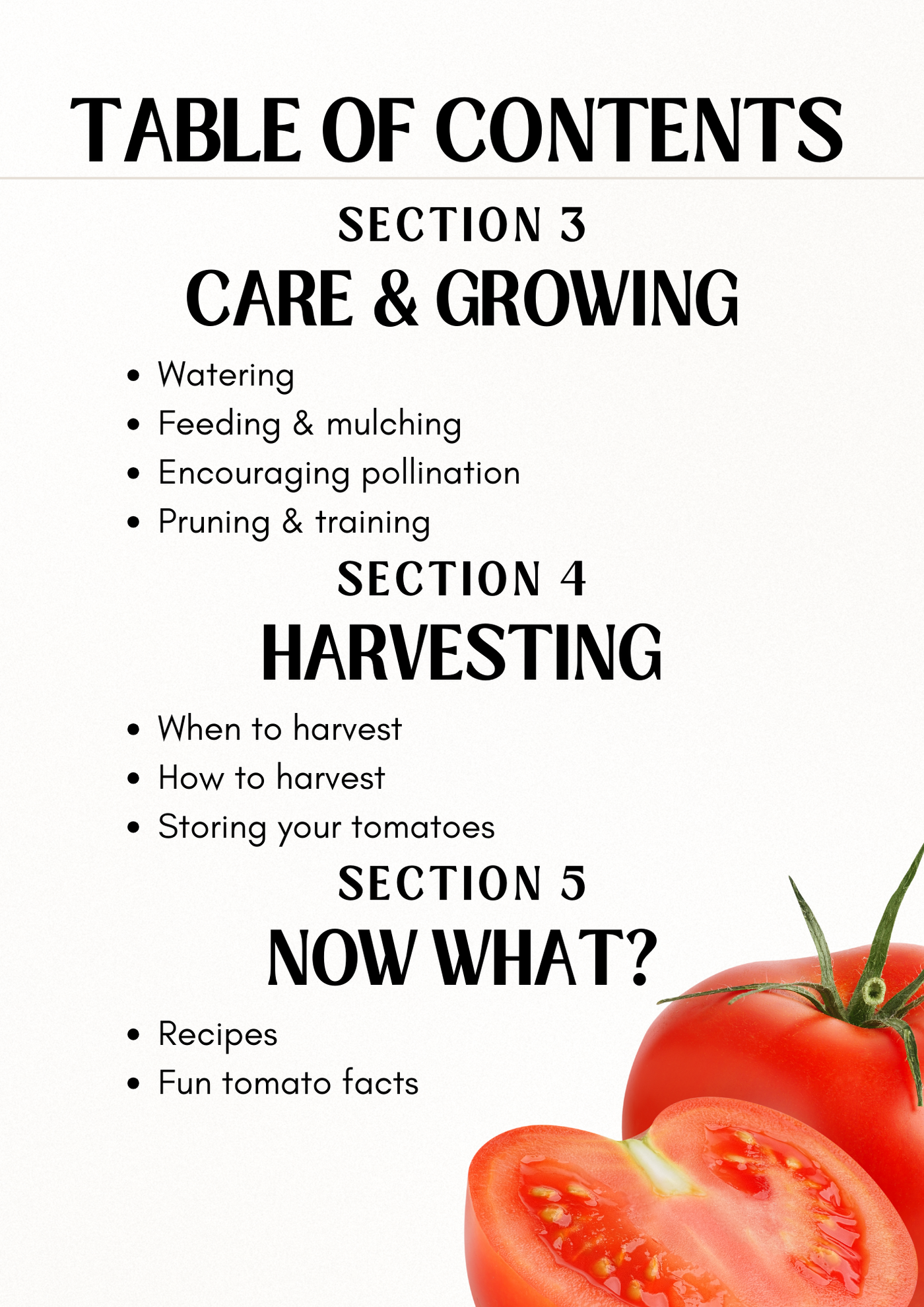 E-book: Tomato planting guide