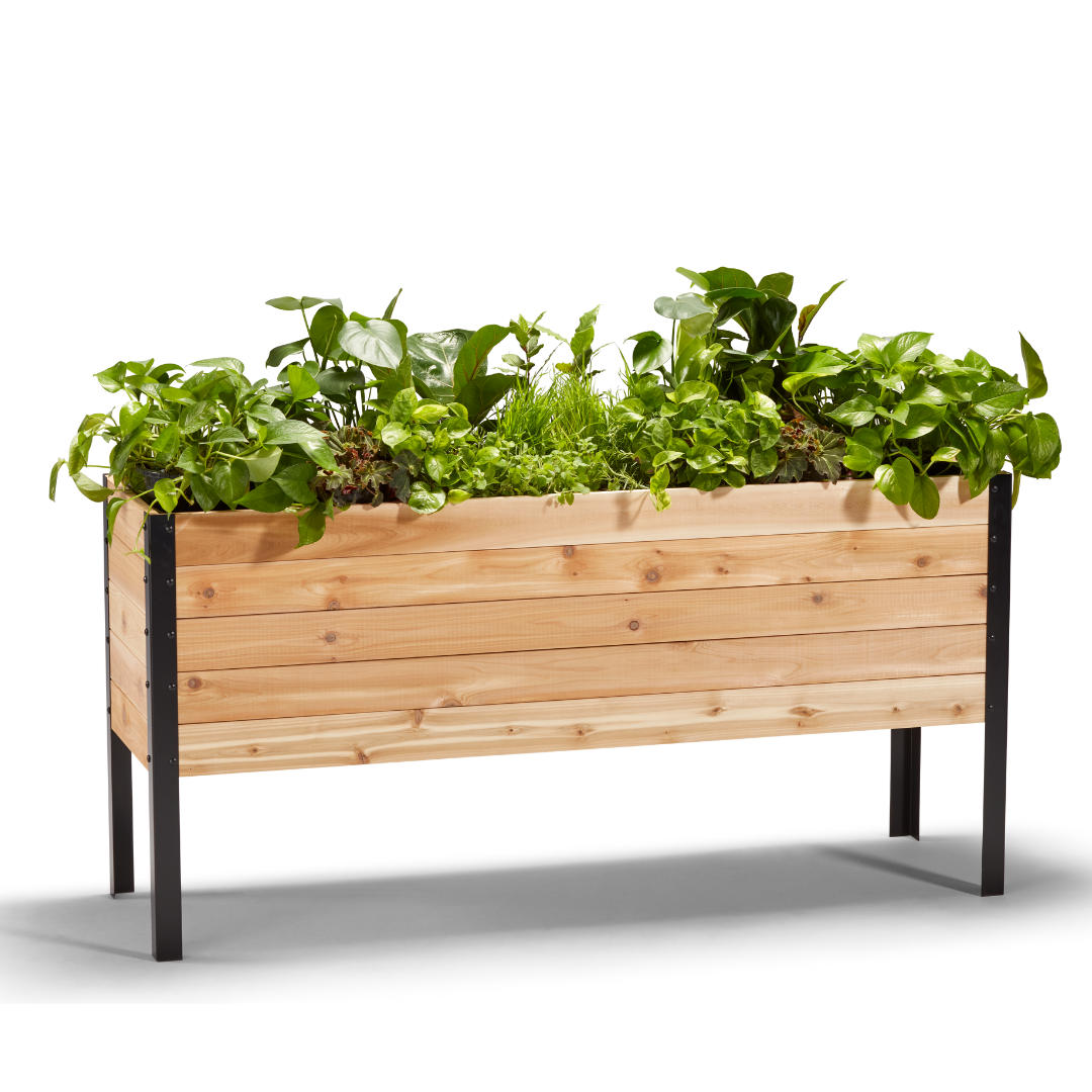18-inch by 60-inch shallow root raised garden bed in Western Red Cedar with flowers