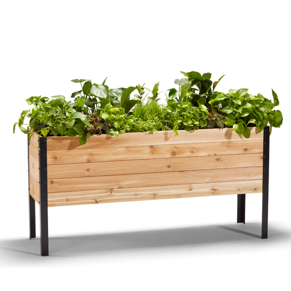 18-inch by 60-inch shallow root raised garden bed in Western Red Cedar with flowers