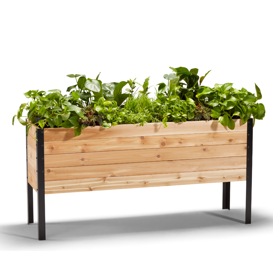 18-inch by 60-inch shallow root raised garden bed in Western Red Cedar with flowers