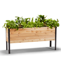A wooden raised garden bed with plants growing in it, set against a white background.