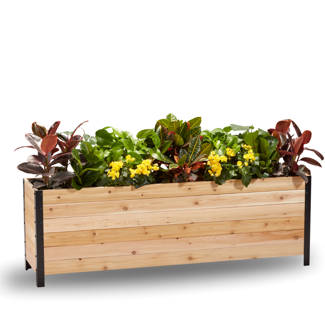 A wooden planter box measuring 18 inches wide, 72 inches long, and 24 inches tall, filled with various plants and greenery.