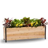 A wooden planter box measuring 18 inches wide, 72 inches long, and 24 inches tall, filled with various plants and greenery.
