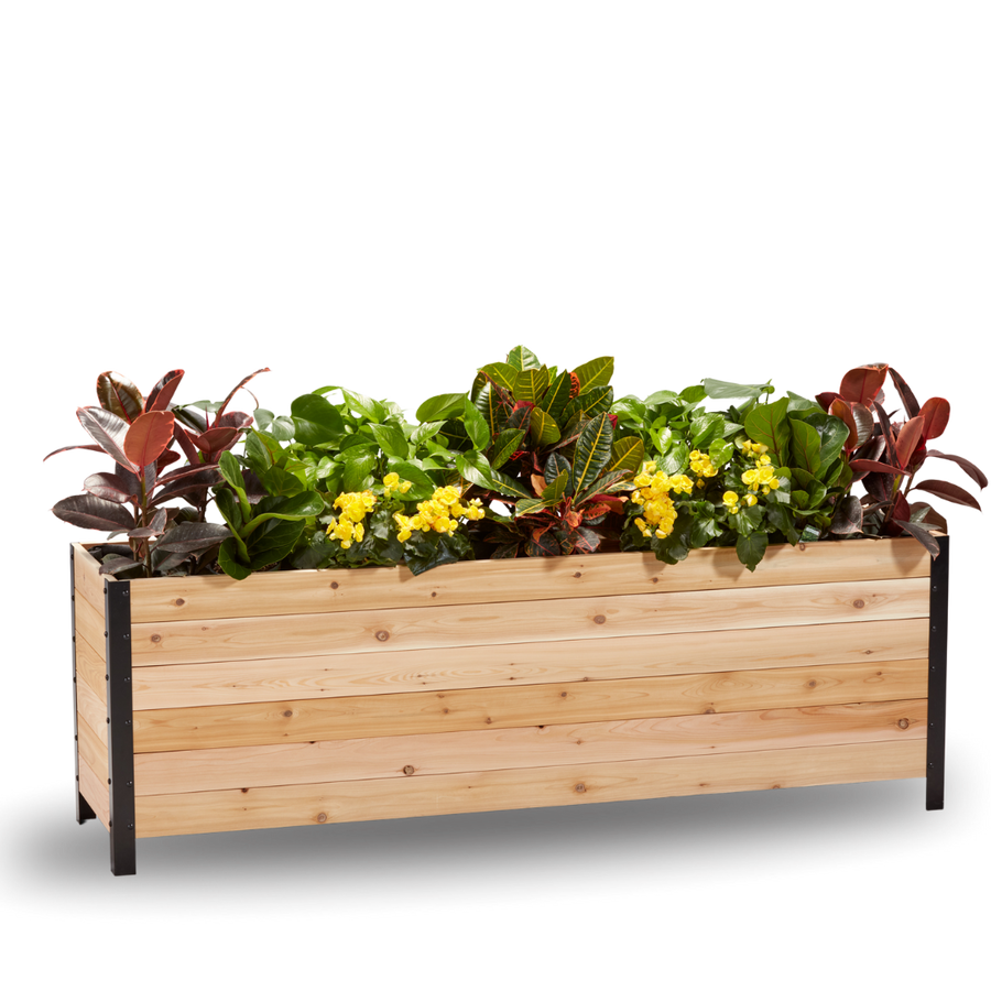 A wooden planter box measuring 18 inches wide, 72 inches long, and 24 inches tall, filled with various plants and greenery.