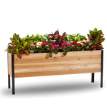 18-inch by 72-inch shallow root raised garden bed in Western Red Cedar with plants