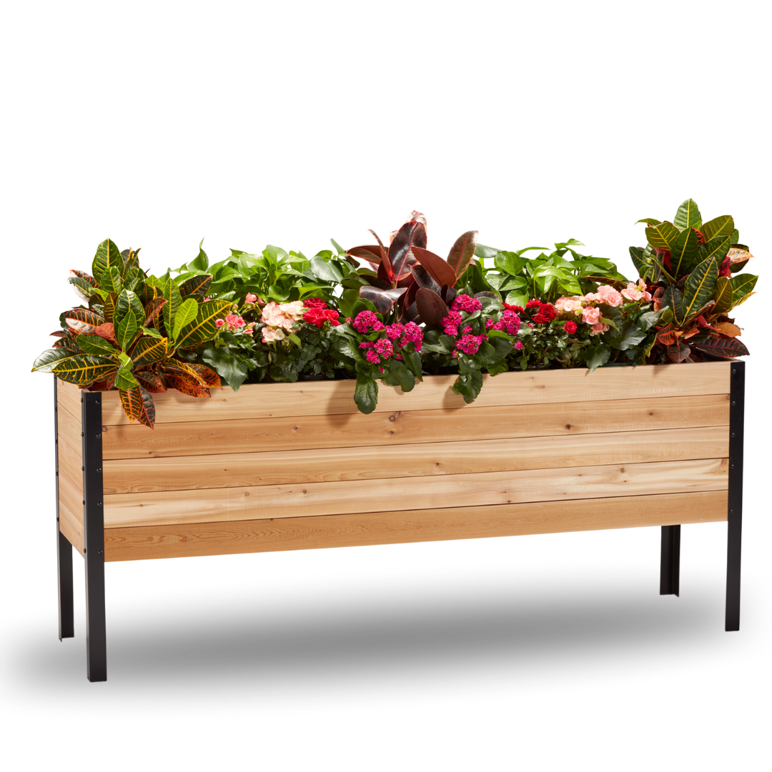 18-inch by 72-inch shallow root raised garden bed in Western Red Cedar with plants