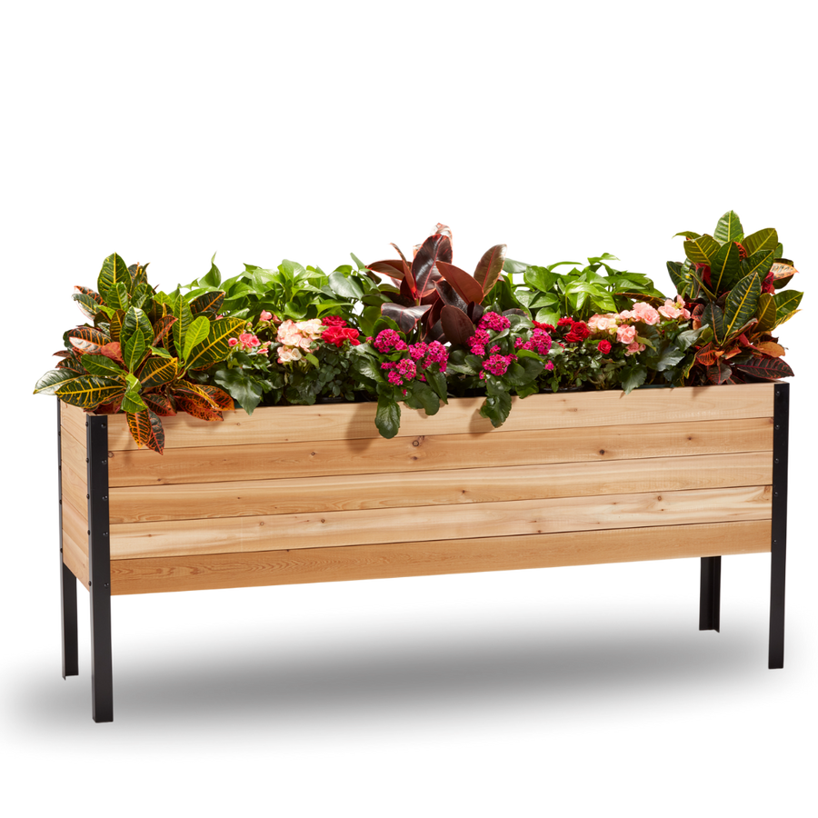 18-inch by 72-inch shallow root raised garden bed in Western Red Cedar with plants