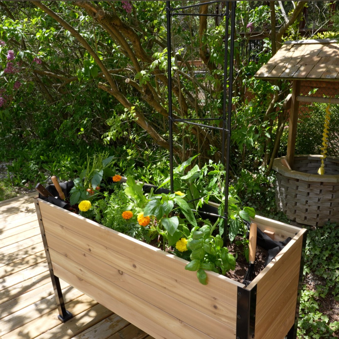 Vegetable Cage