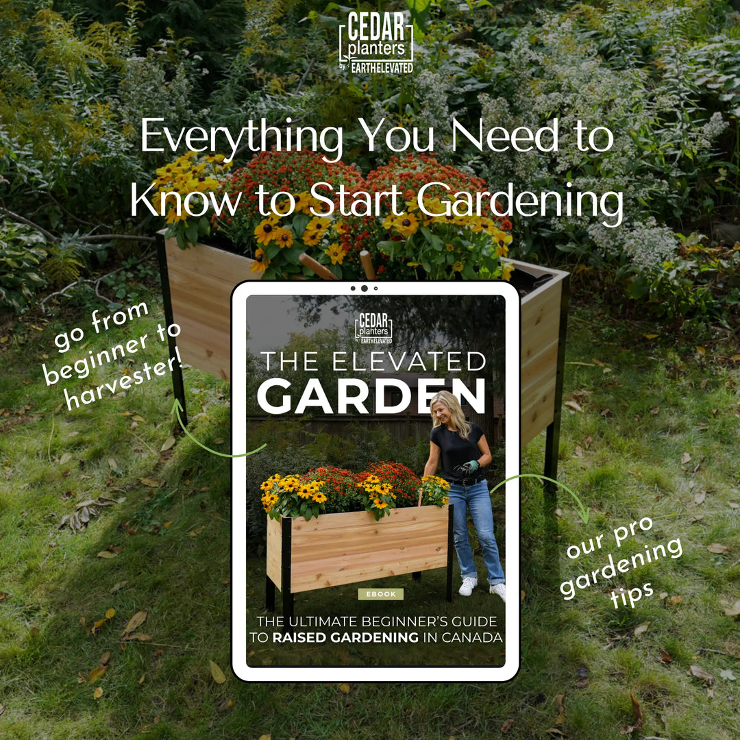 18" x 48" Raised Garden Bed + Sleeve Feet + Olla Pot + E-Book - Bundle