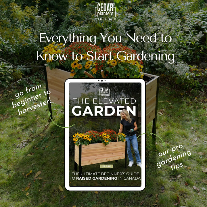 18" x 48" Raised Garden Bed + Sleeve Feet + Olla Pot + E-Book - Bundle