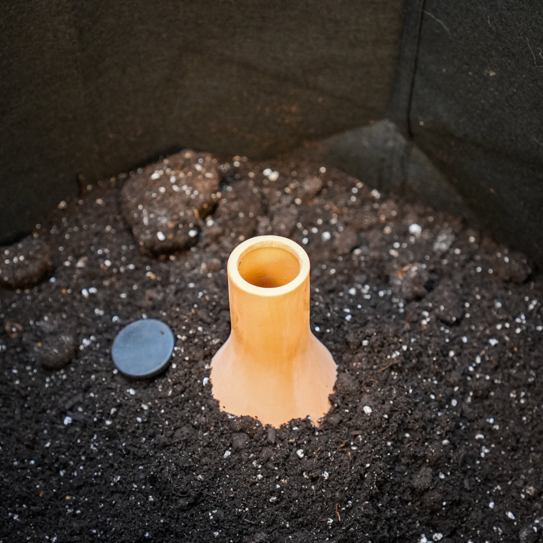 Self-Watering Clay Olla Pot