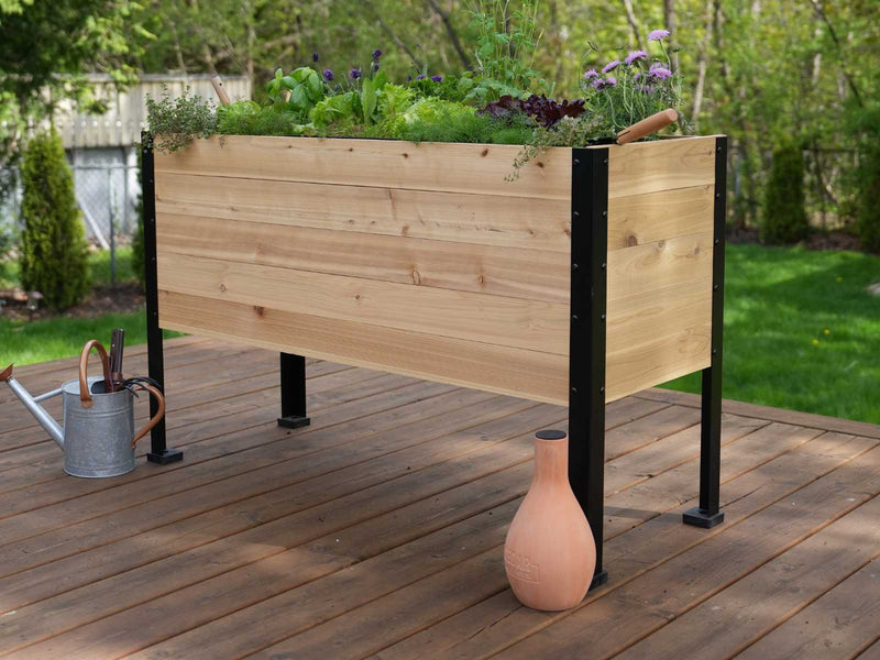 The Easiest Way to Get into Gardening