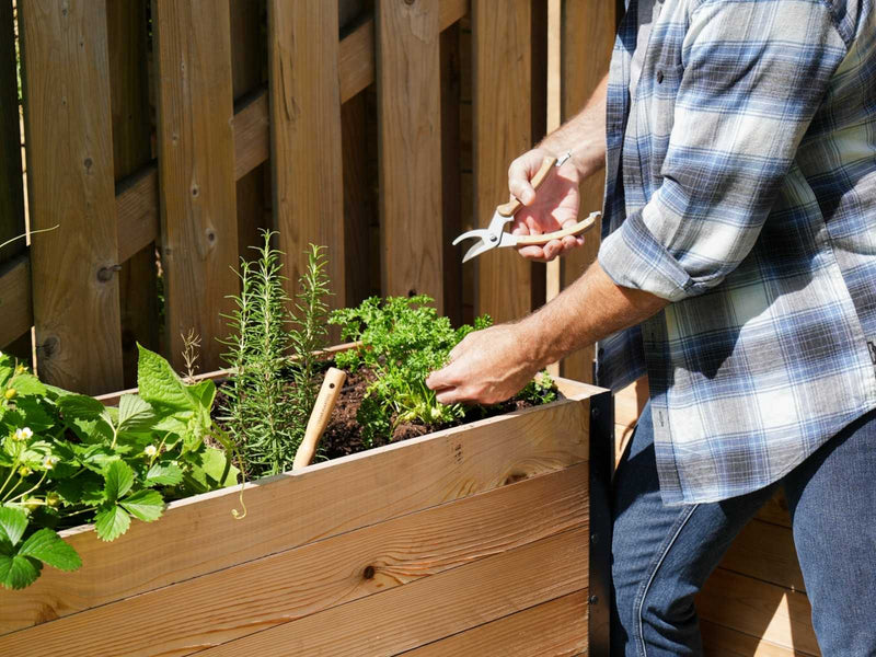 Gardening without the back & joint pain!
