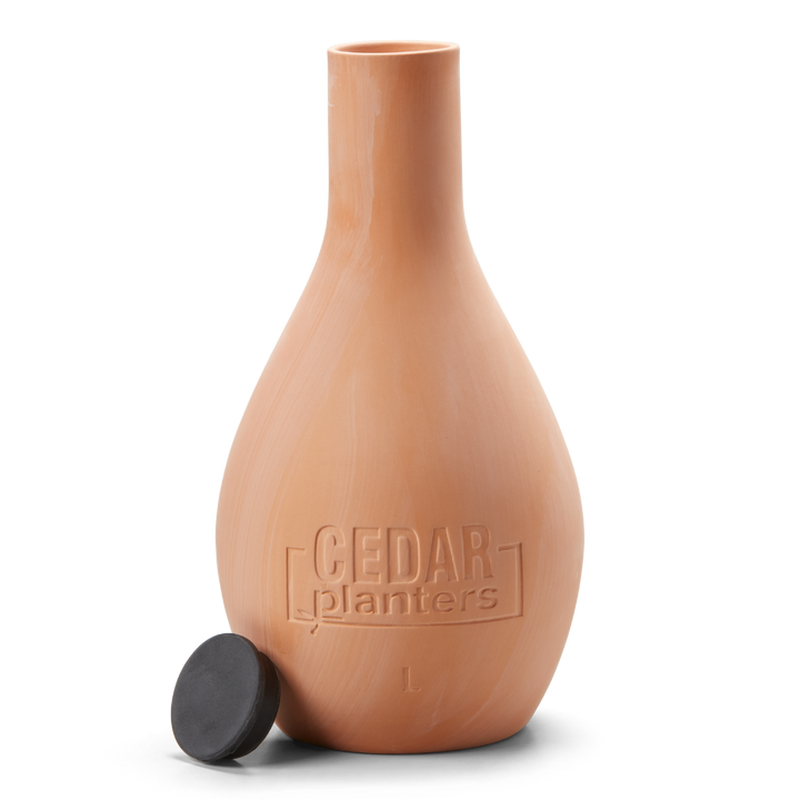 Self-Watering Clay Olla Pot