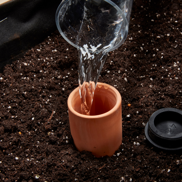 Self-Watering Clay Olla Pot
