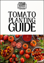 E-book: Tomato planting guide