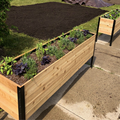 Two long, raised cedar planter boxes with black metal frames sit on a concrete path next to a patch of newly laid sod. The boxes are filled with various green and purple herbs and small plants.