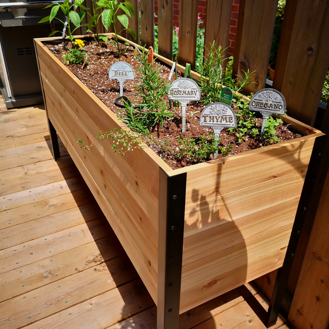 A long, raised cedar planter box with a black metal frame sits on a sunny wooden deck. It's filled with herbs marked by metal signs, including Rosemary, Thyme, Dill, and Oregano.