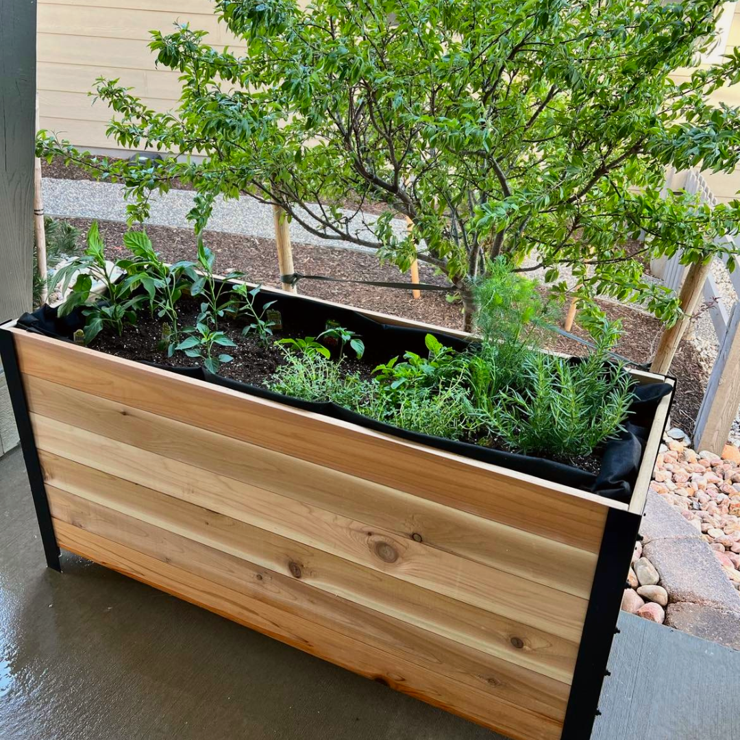 A long, raised cedar planter box with a black metal frame sits on a patio, filled with a variety of young green herbs and plants, including rosemary and basil.
