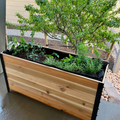 A long, raised cedar planter box with a black metal frame sits on a patio, filled with a variety of young green herbs and plants, including rosemary and basil.