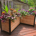 Two 18" x 36" cedar planter boxes are arranged at an angle on a weathered wooden deck. The natural wood planters have black metal corner brackets and feet. The boxes are overflowing with a vibrant mix of plants: one contains bold purple and variegated foliage with tall green leaves, and the other is filled with purple and pink petunias and dark-leaved plants, creating a beautiful, lush floral display.