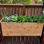 A raised cedar planter box with a black metal frame is filled with several varieties of thriving green vegetables, including onions, cabbage, lettuce, and kale, sitting on a wooden deck.