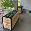 Two long cedar planter boxes with black metal frames sit on a wet concrete patio beneath a porch overhang. The boxes are filled with soil and young green plants, including what appears to be peppers and herbs. The foreground planter is angled towards a decorative rock border and a wooden fence.