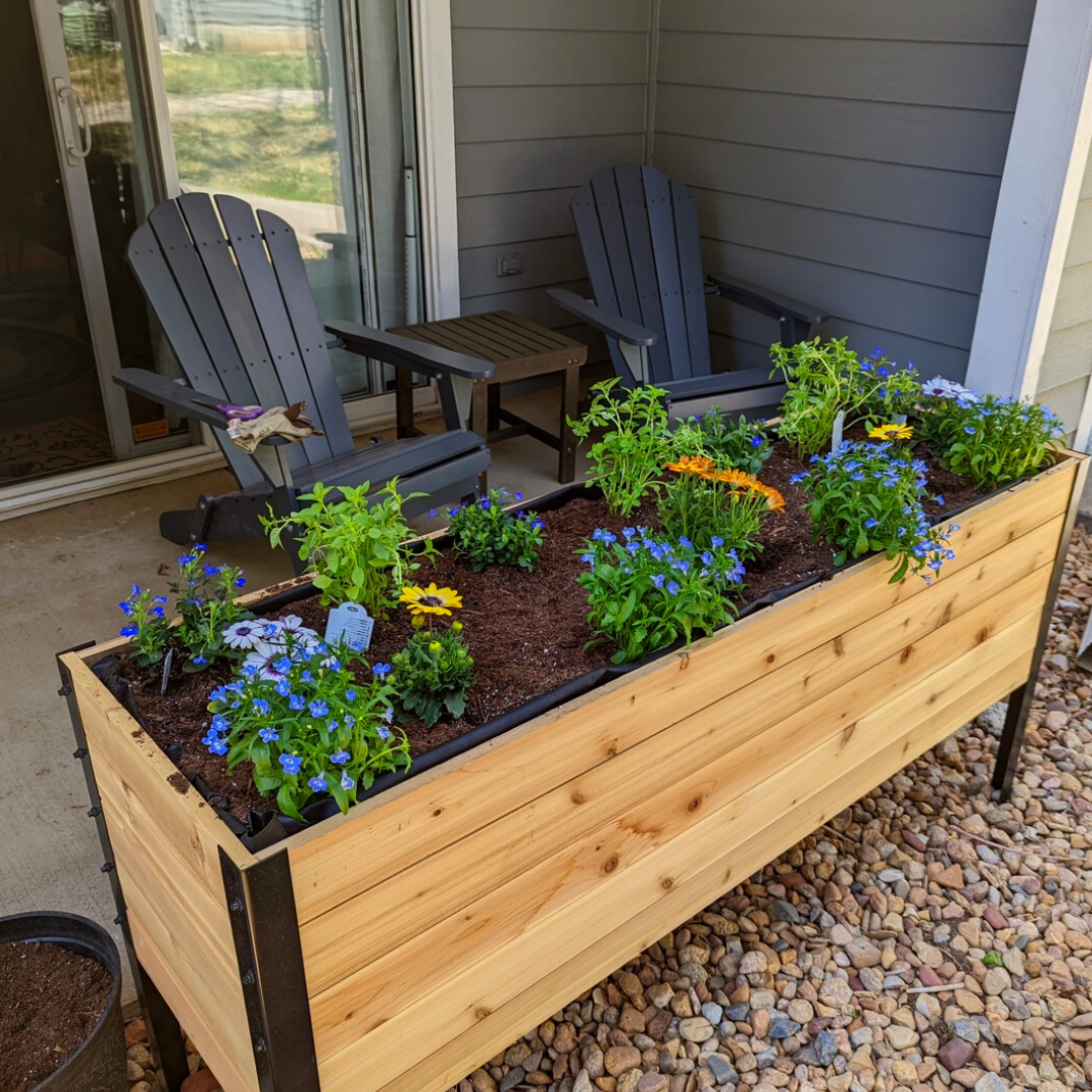 A long, raised cedar planter box with a black metal frame is filled with fresh potting mix, vibrant blue and yellow flowers, and green herbs, sitting on a patio beside a stone border.